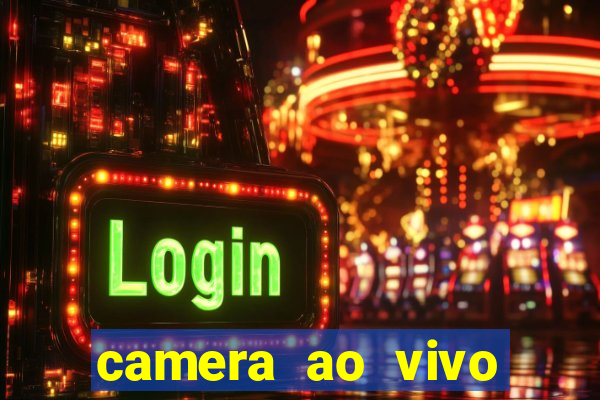 camera ao vivo terminal vila nova cachoeirinha